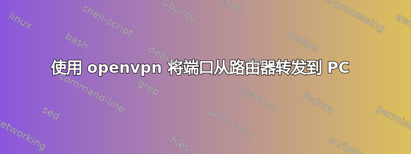 使用 openvpn 将端口从路由器转发到 PC 