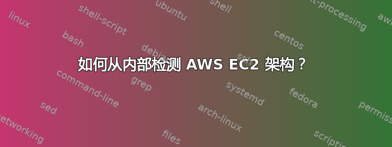 如何从内部检测 AWS EC2 架构？