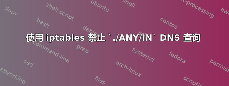 使用 iptables 禁止 `./ANY/IN` DNS 查询