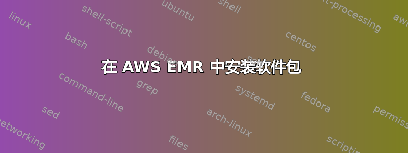 在 AWS EMR 中安装软件包