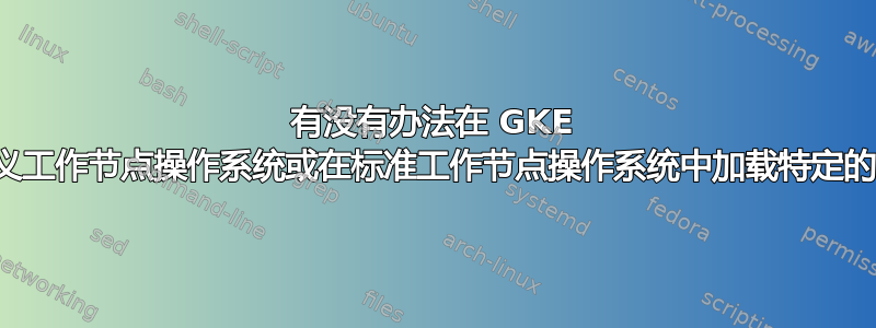 有没有办法在 GKE 上使用自定义工作节点操作系统或在标准工作节点操作系统中加载特定的内核模块？