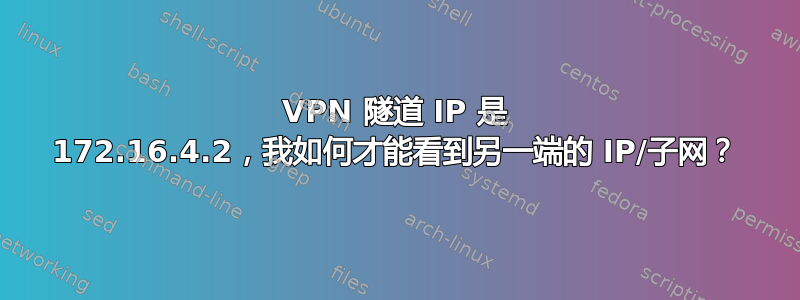 VPN 隧道 IP 是 172.16.4.2，我如何才能看到另一端的 IP/子网？