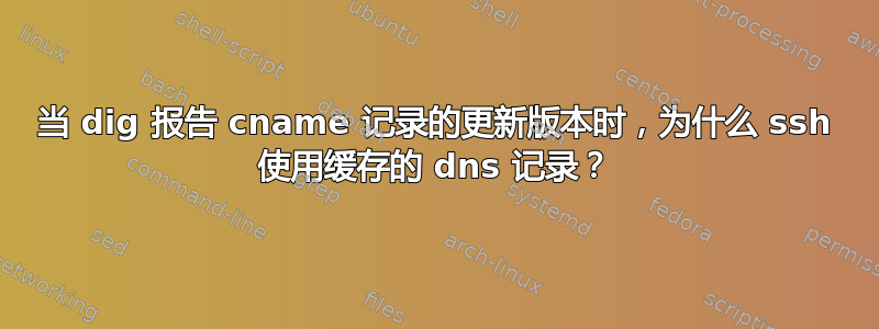 当 dig 报告 cname 记录的更新版本时，为什么 ssh 使用缓存的 dns 记录？