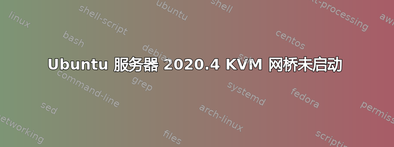 Ubuntu 服务器 2020.4 KVM 网桥未启动