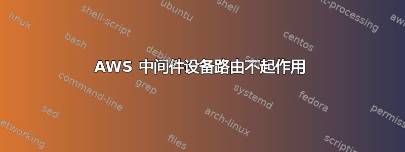 AWS 中间件设备路由不起作用