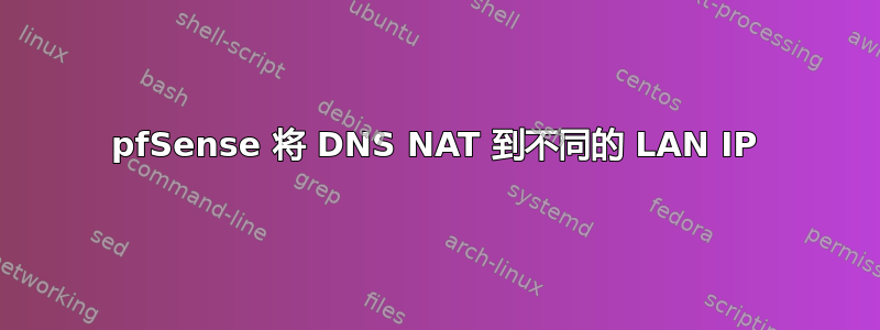 pfSense 将 DNS NAT 到不同的 LAN IP