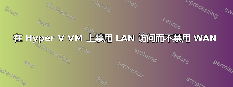 在 Hyper V VM 上禁用 LAN 访问而不禁用 WAN