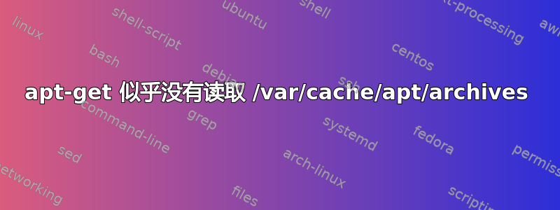 apt-get 似乎没有读取 /var/cache/apt/archives