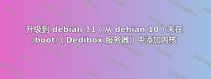 升级到 debian 11（从 debian 10）未在 /boot/（Dedibox 服务器）中添加内核