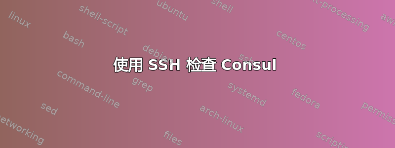 使用 SSH 检查 Consul