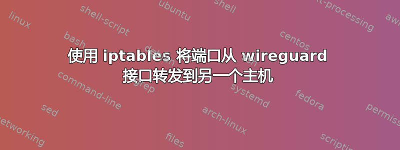 使用 iptables 将端口从 wireguard 接口转发到另一个主机