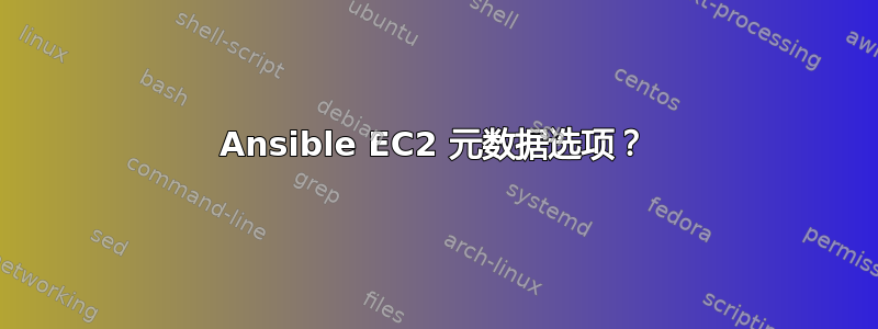 Ansible EC2 元数据选项？