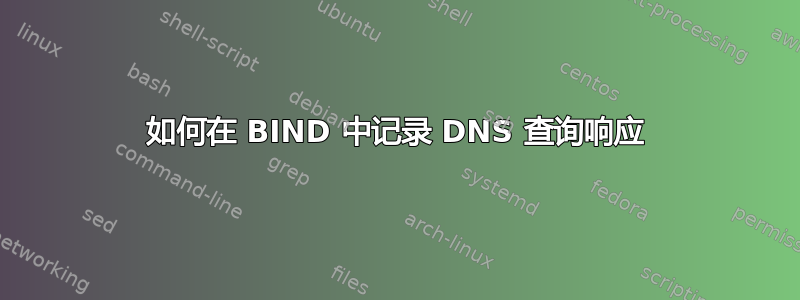 如何在 BIND 中记录 DNS 查询响应