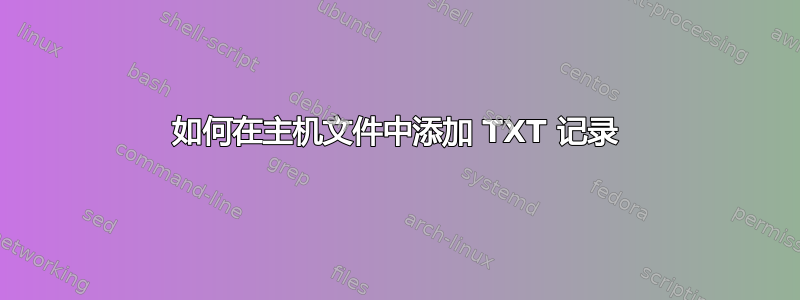 如何在主机文件中添加 TXT 记录