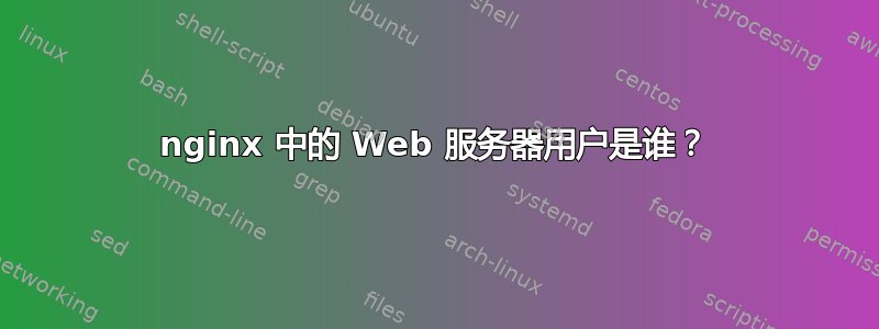 nginx 中的 Web 服务器用户是谁？