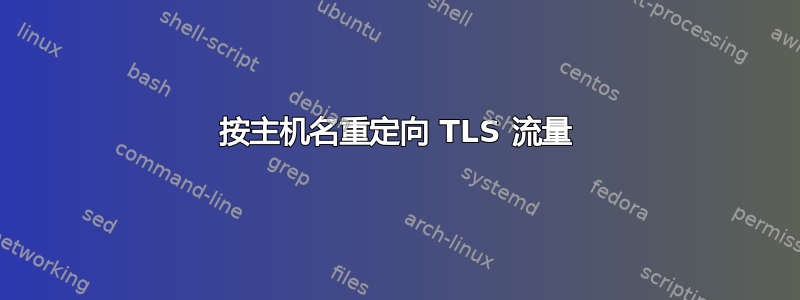 按主机名重定向 TLS 流量