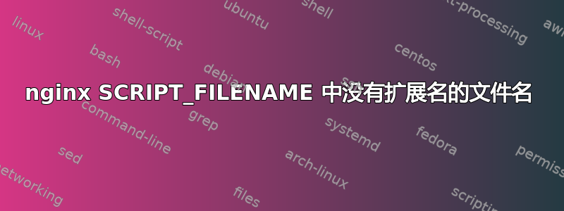 nginx SCRIPT_FILENAME 中没有扩展名的文件名