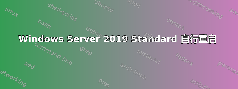 Windows Server 2019 Standard 自行重启