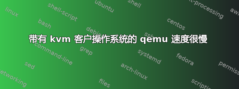 带有 kvm 客户操作系统的 qemu 速度很慢