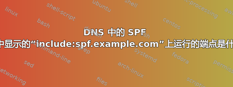 DNS 中的 SPF 记录中显示的“include:spf.example.com”上运行的端点是什么？