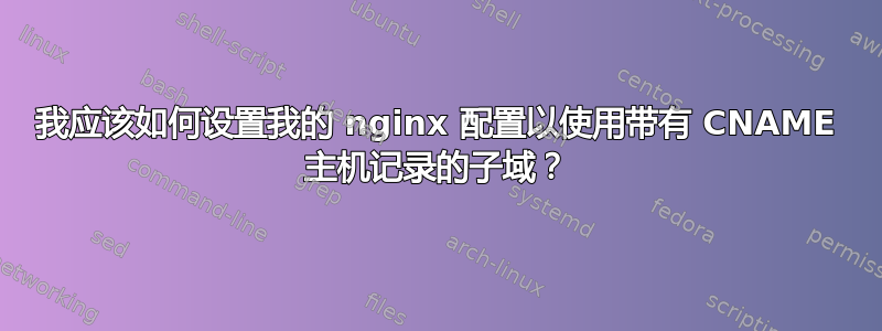 我应该如何设置我的 nginx 配置以使用带有 CNAME 主机记录的子域？