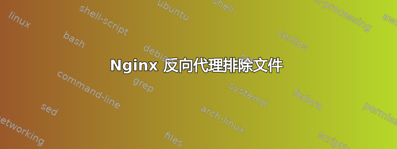 Nginx 反向代理排除文件