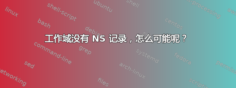 工作域没有 NS 记录，怎么可能呢？