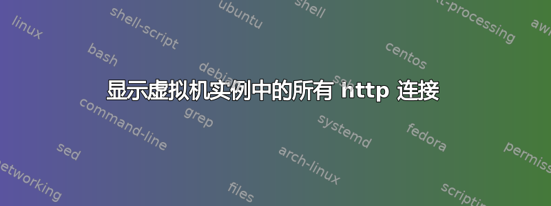 显示虚拟机实例中的所有 http 连接