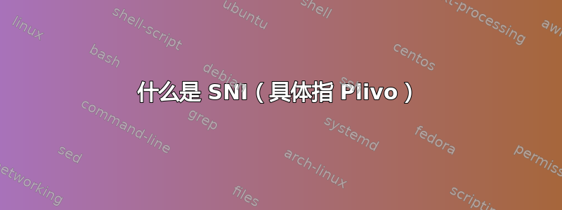 什么是 SNI（具体指 Plivo）