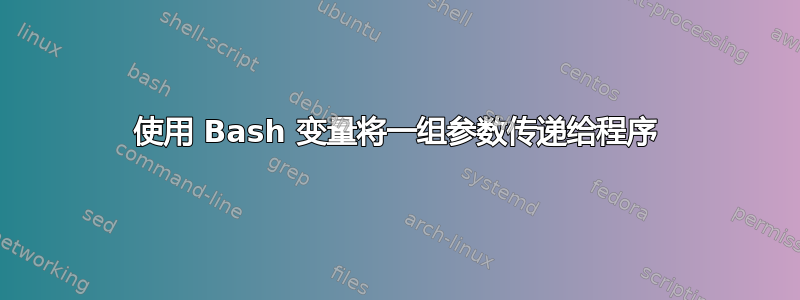 使用 Bash 变量将一组参数传递给程序