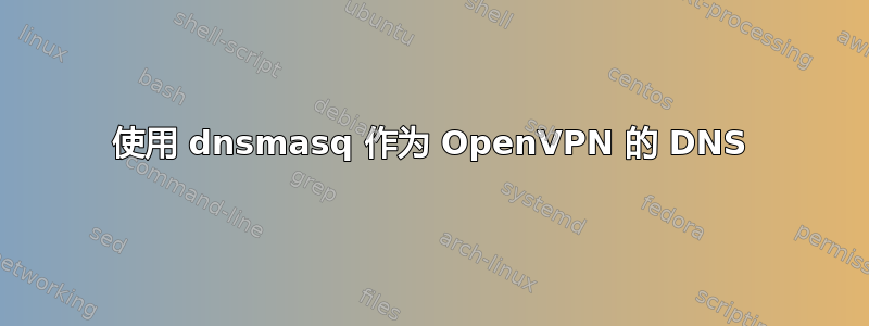 使用 dnsmasq 作为 OpenVPN 的 DNS