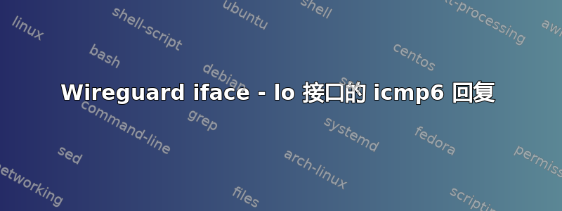 Wireguard iface - lo 接口的 icmp6 回复