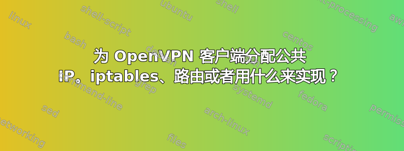 为 OpenVPN 客户端分配公共 IP。iptables、路由或者用什么来实现？