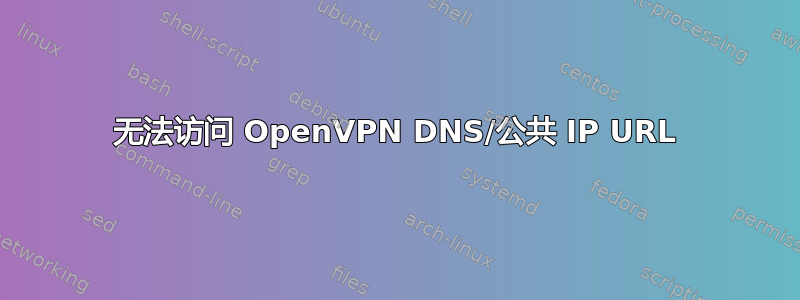 无法访问 OpenVPN DNS/公共 IP URL