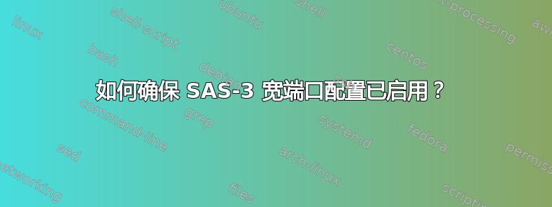 如何确保 SAS-3 宽端口配置已启用？