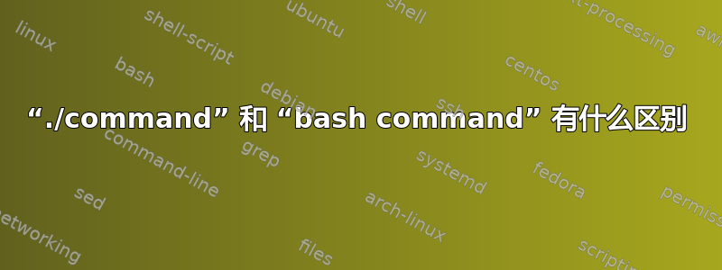 “./command” 和 “bash command” 有什么区别