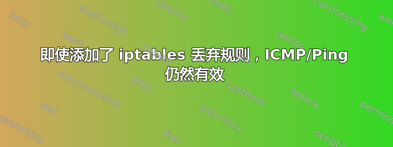 即使添加了 iptables 丢弃规则，ICMP/Ping 仍然有效