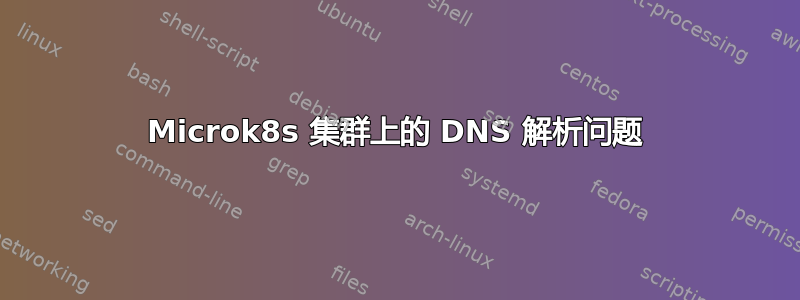 Microk8s 集群上的 DNS 解析问题