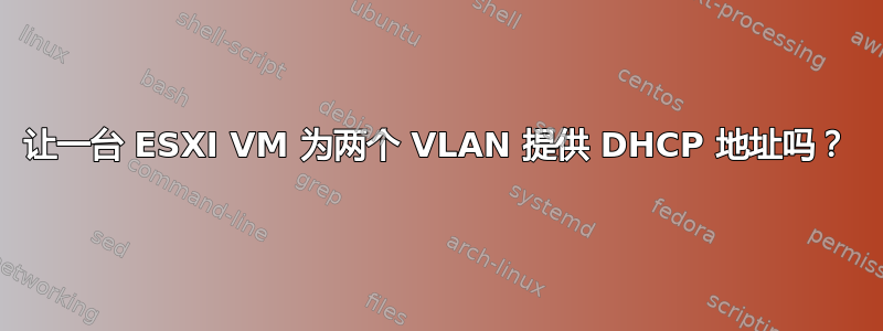 让一台 ESXI VM 为两个 VLAN 提供 DHCP 地址吗？