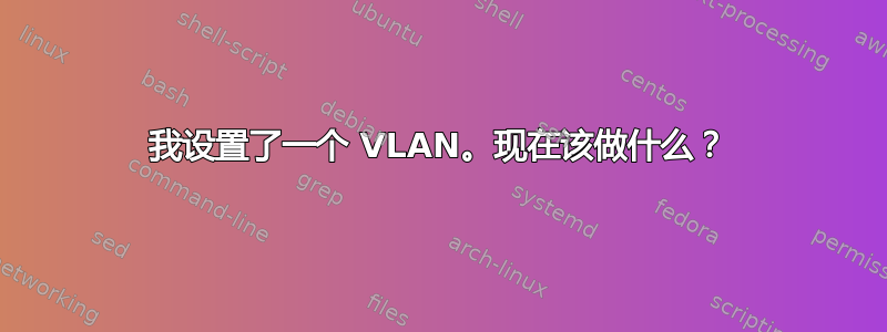 我设置了一个 VLAN。现在该做什么？