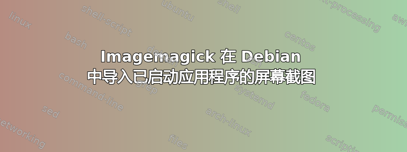 Imagemagick 在 Debian 中导入已启动应用程序的屏幕截图