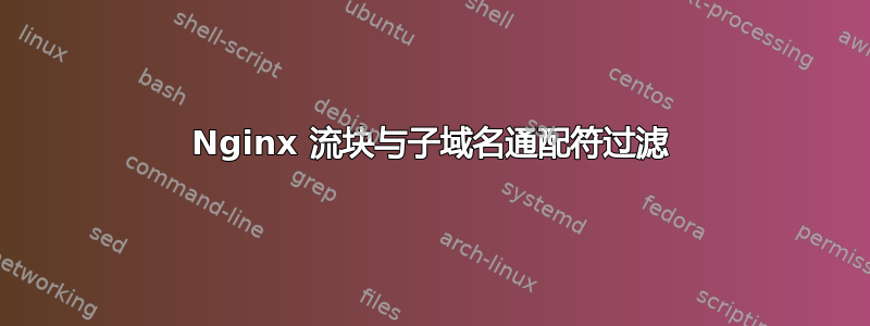 Nginx 流块与子域名通配符过滤