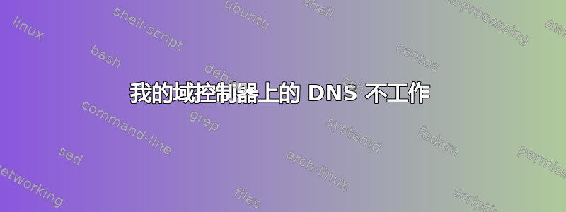 我的域控制器上的 DNS 不工作