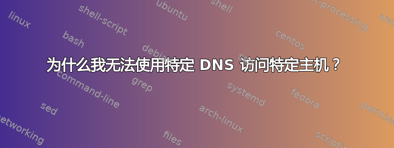 为什么我无法使用特定 DNS 访问特定主机？