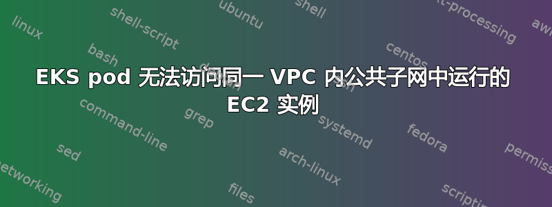 EKS pod 无法访问同一 VPC 内公共子网中运行的 EC2 实例