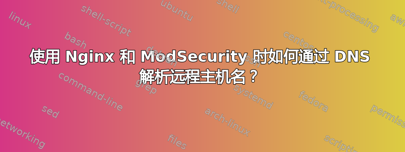 使用 Nginx 和 ModSecurity 时如何通过 DNS 解析远程主机名？