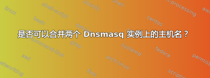 是否可以合并两个 Dnsmasq 实例上的主机名？