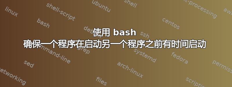 使用 bash 确保一个程序在启动另一个程序之前有时间启动