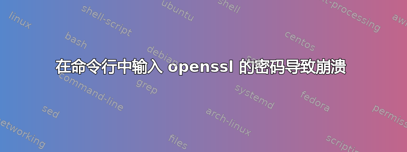 在命令行中输入 openssl 的密码导致崩溃