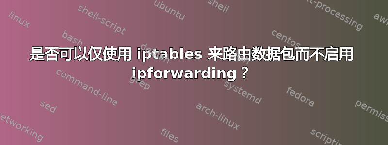 是否可以仅使用 iptables 来路由数据包而不启用 ipforwarding？